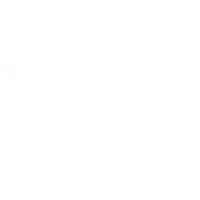 海运(FCL/LCL)